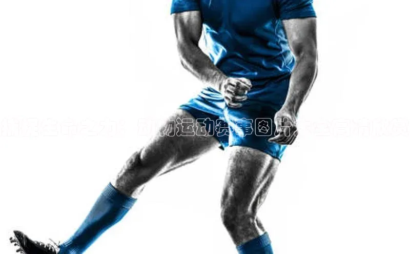 英国威廉希尔官网登录