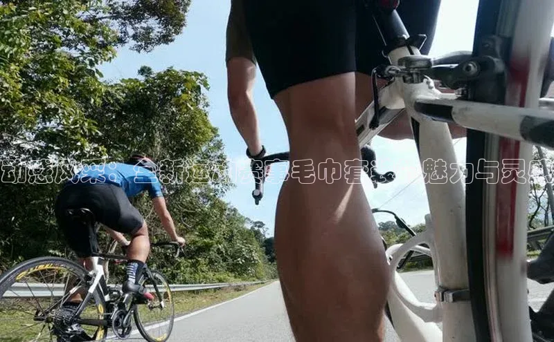 威廉体育唯一官网